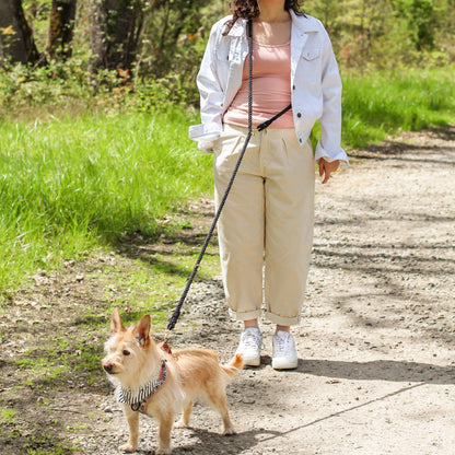 Hands Free Rope Leash - Assorted Colors