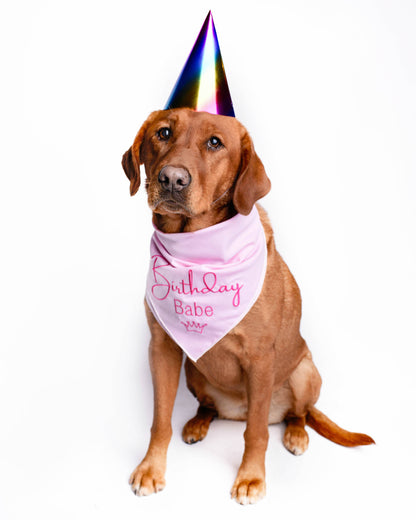Embroided Birthday Babe Bandana