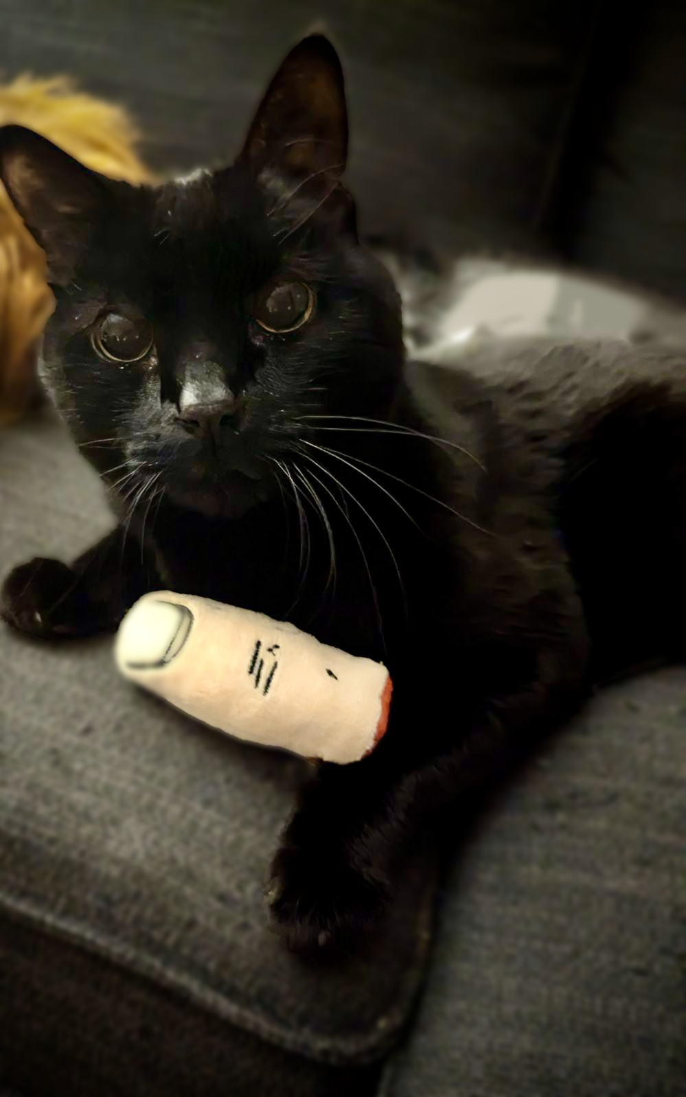 Bite my Finger Toy