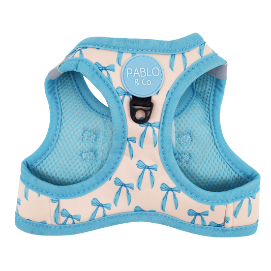 Baby Blue Bows Step In Harness