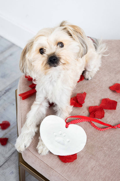 Pawprints Keepsake Hanging Holiday Ornament