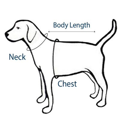 Green Stripe Polo with Pink Collar