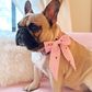 Pink Plaid Dog Bow Tie