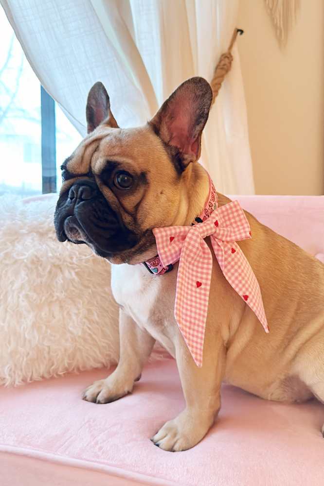 Pink Plaid Dog Bow Tie