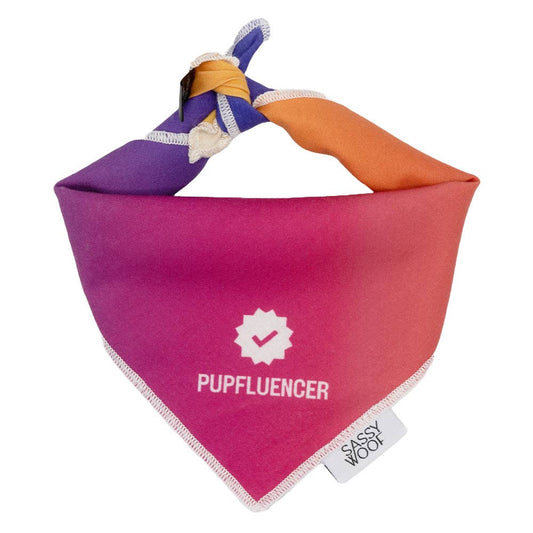 Pupfluencer Dog Bandana