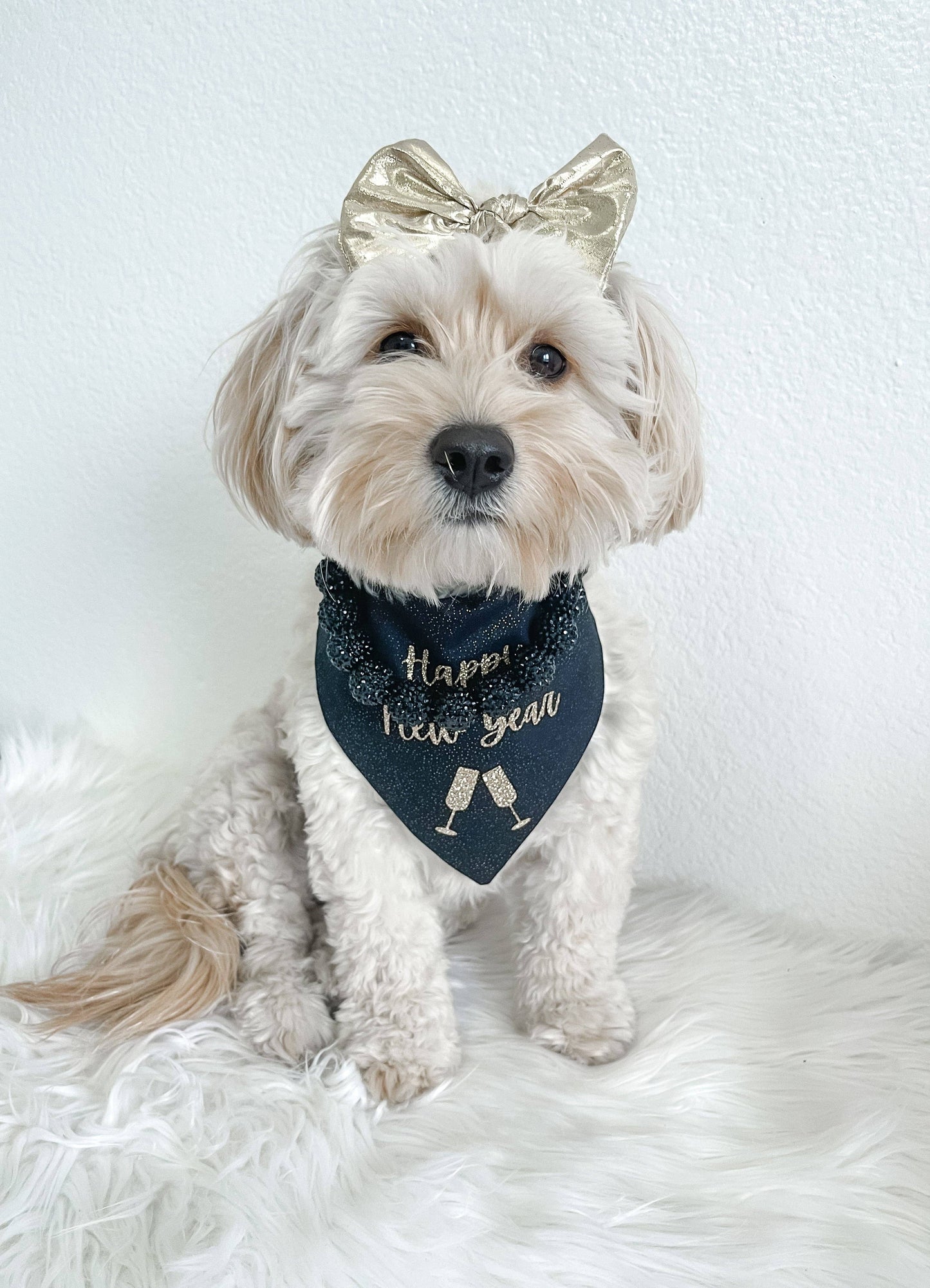 MIDNIGHT BLACK RHINESTONE DOG NECKLACE