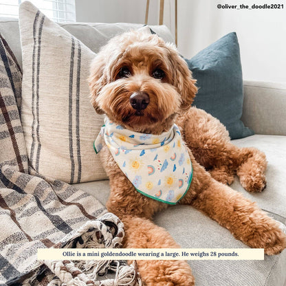 The Rain or Shine Dog Bandana