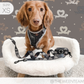 I Heart Dachshunds Adjustable Dog Harness