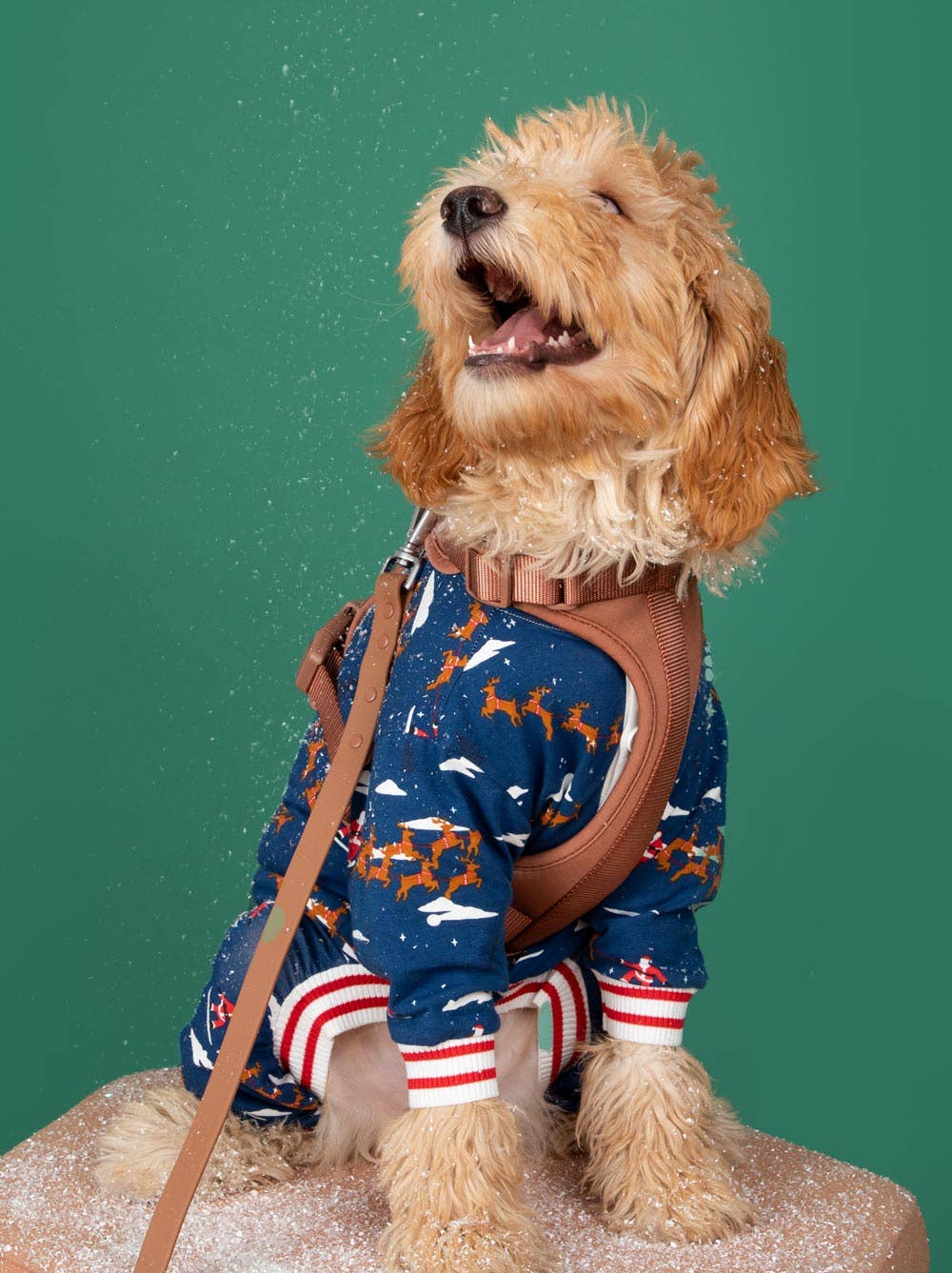 Santa Sleighs Dog Pajama