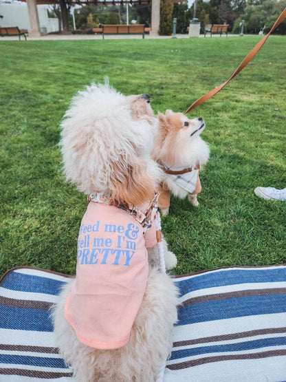 "Feed Me & Tell Me Im Pretty" Dog T-shirt