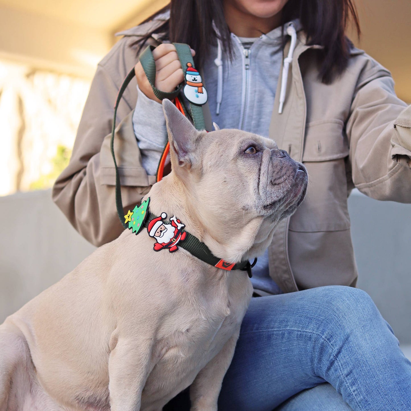 Santa Claus Dog Jiby