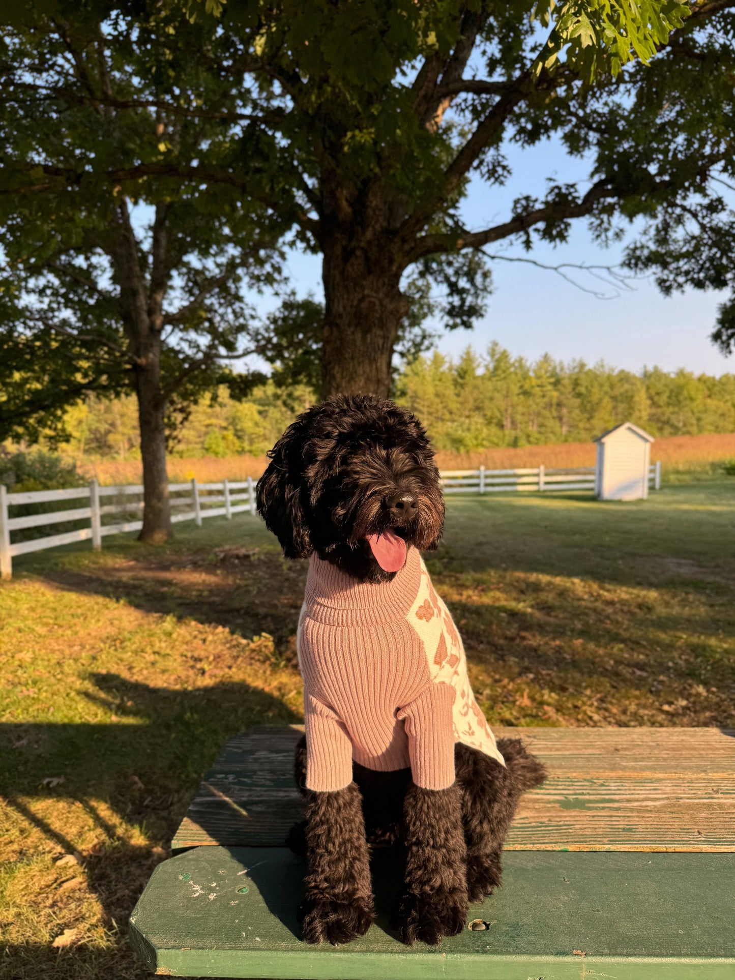 Suéter para perro Matilda