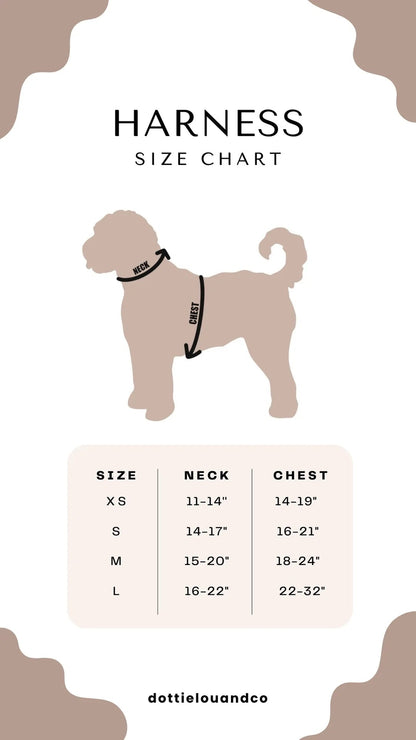 Thunderstruck Adjustable Dog Harness