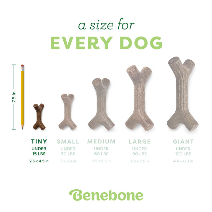 Benebone Stick Bacon Dog Chew Toy