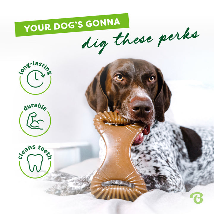 Benebone Bacon Dental Dog Chew Toy