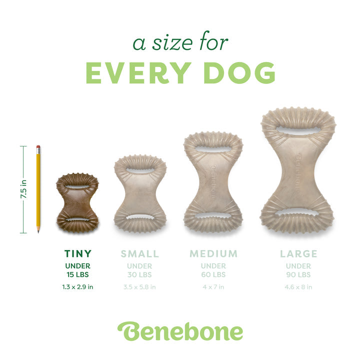 Benebone Bacon Dental Dog Chew Toy