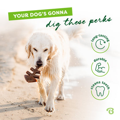 Benebone Jack Salmon Fishbone Dog Chew Toy