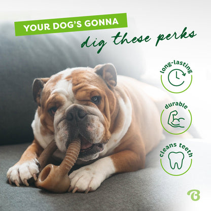 Benebone Ring Durable Dog Chew toy