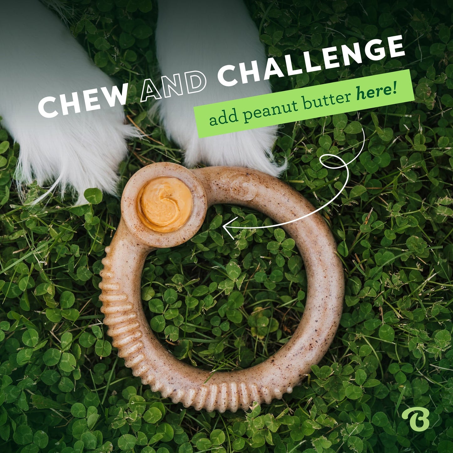 Benebone Ring Durable Dog Chew toy