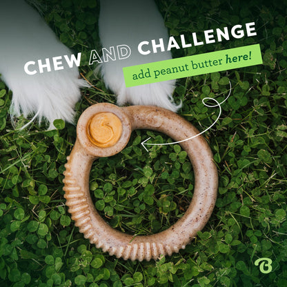 Benebone Ring Durable Dog Chew toy