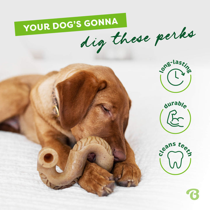 Benebone Beef Tripe Bone Dog Chew Toy