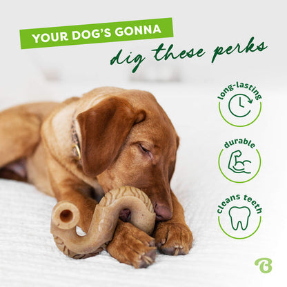 Benebone Beef Tripe Bone Dog Chew Toy