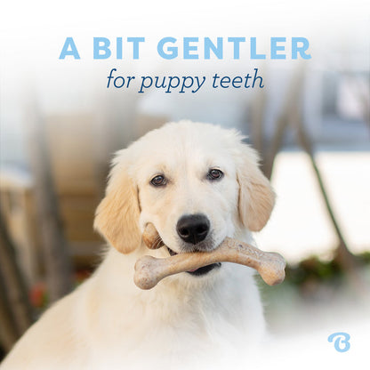 Benebone Bacon Puppy Wishbone Dog Chew Toy