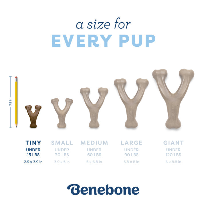 Benebone Bacon Puppy Wishbone Dog Chew Toy