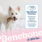 Benebone Bacon Puppy Wishbone Dog Chew Toy