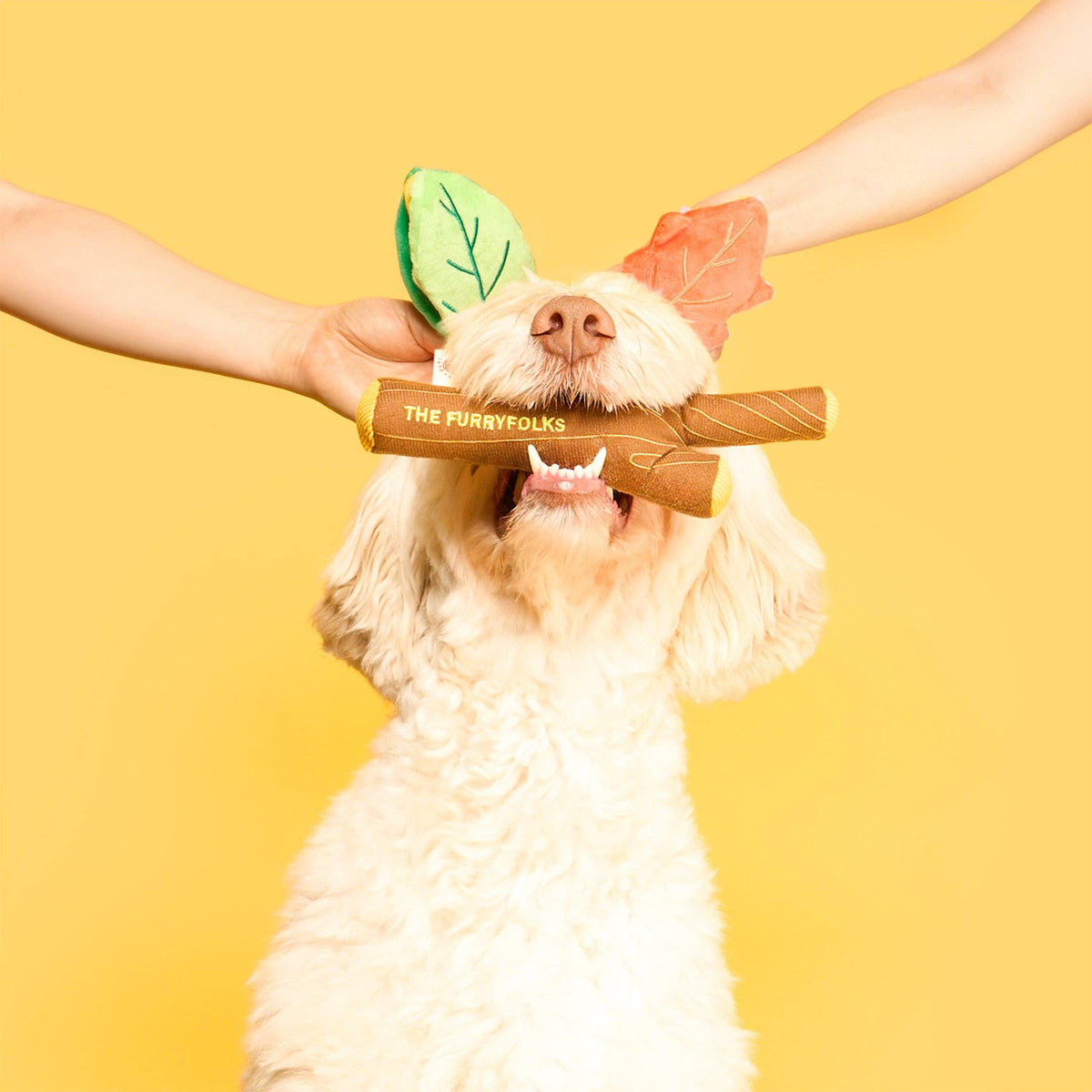 Branch Manager's Branch Nosework Toy