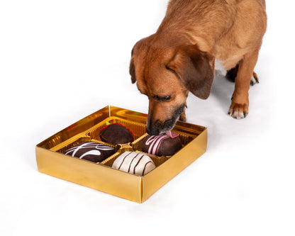 Caja de bombones Dogiva, juguete para perros para el día de San Valentín: título predeterminado