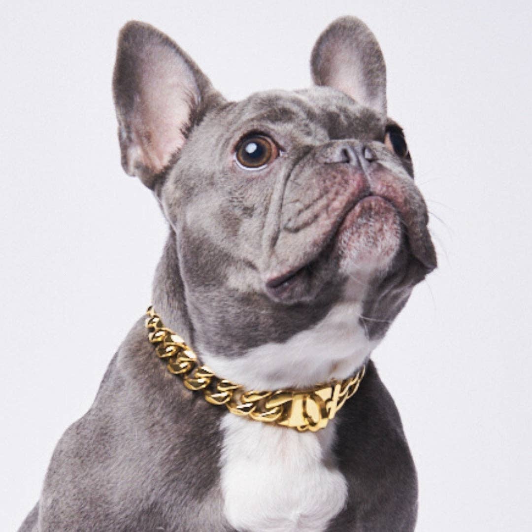 Cuban Link Chain Dog Collar - Gold: 17.7"