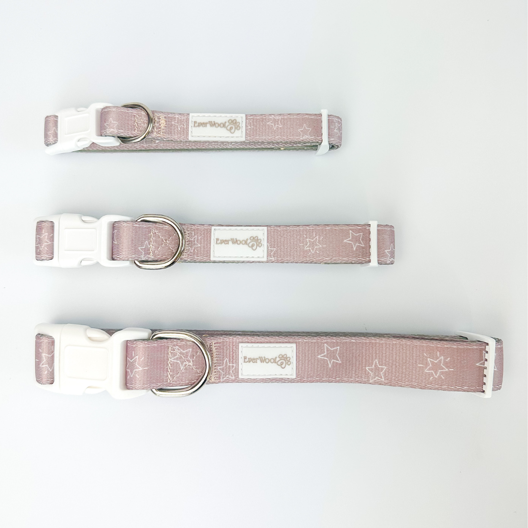 Asteria Dog Collar