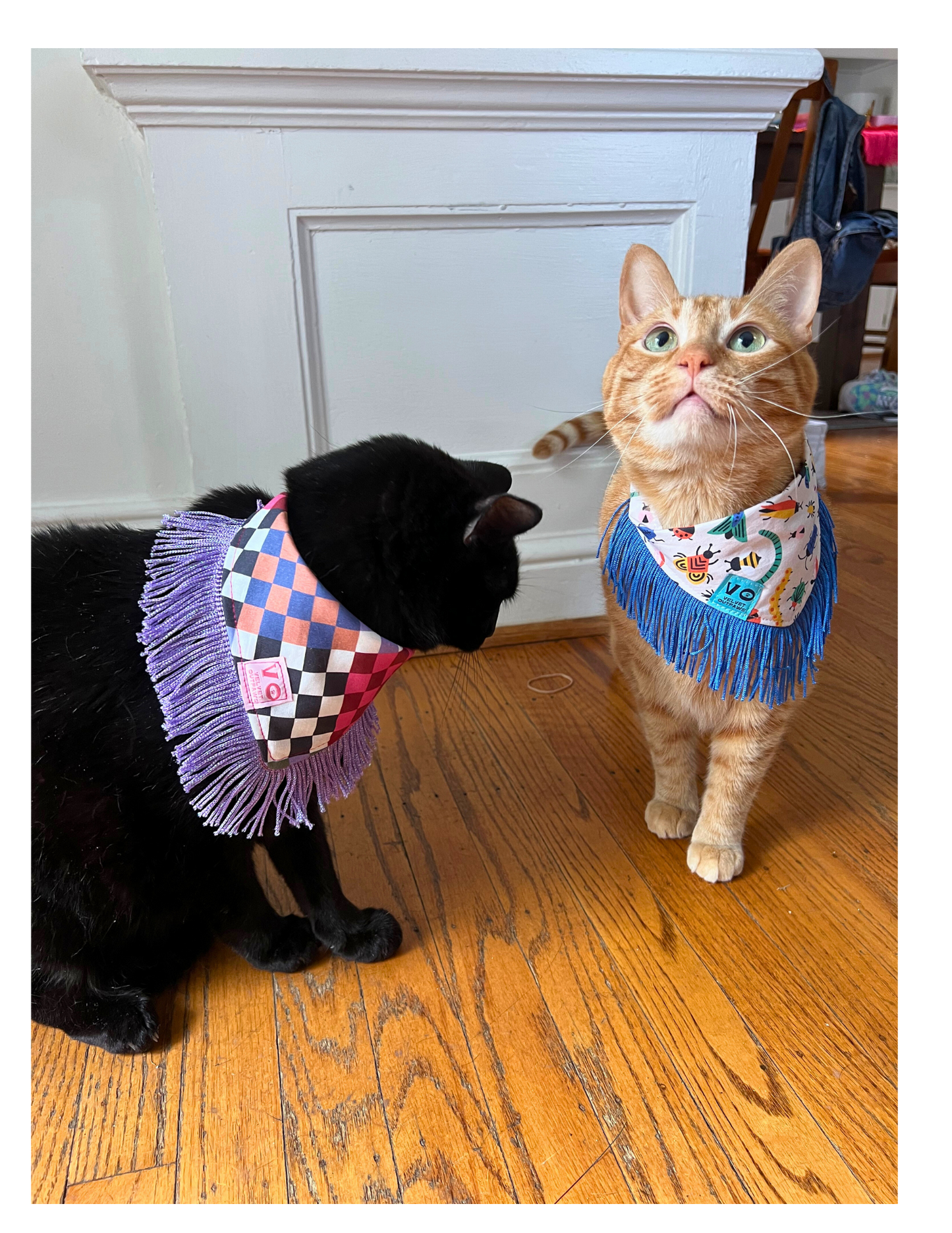 Bugs with Blue Fringe Bandana