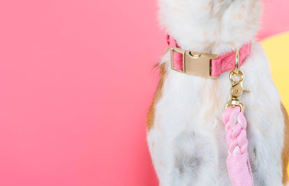 Ella Pink Dog Collar