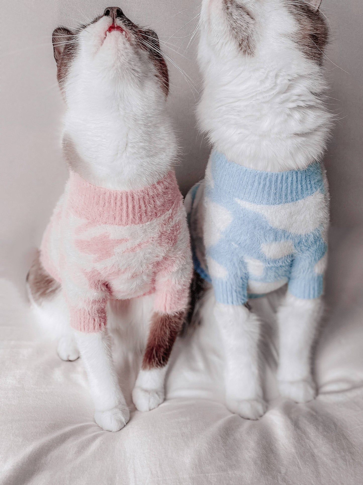Jolie Soft Cloud Dog Sweater