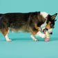 BARK Super Chewer I-Squeak Cone Dog Toy Medium-Large