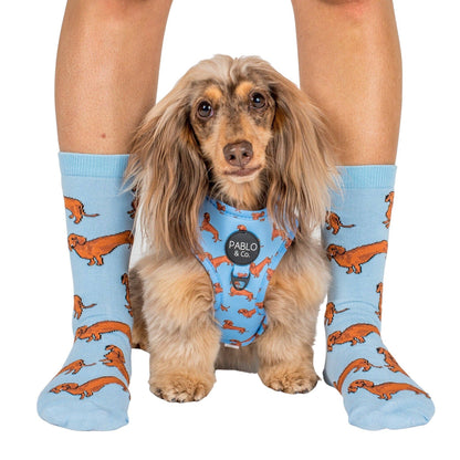 Arnés ajustable para perros Dachshund