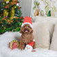 HugSmart Pet - Happy Woofmas Santa - Dog Ball Toy