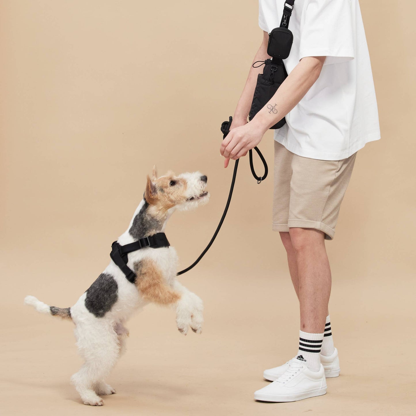 Rover Dog Harness