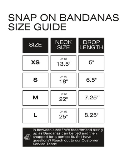 Bandana para perros Homestead