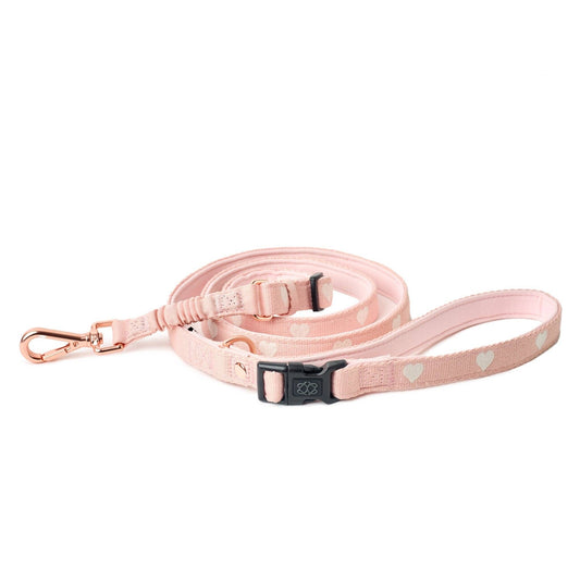 3-in-1 City Dog Leash - Hearts