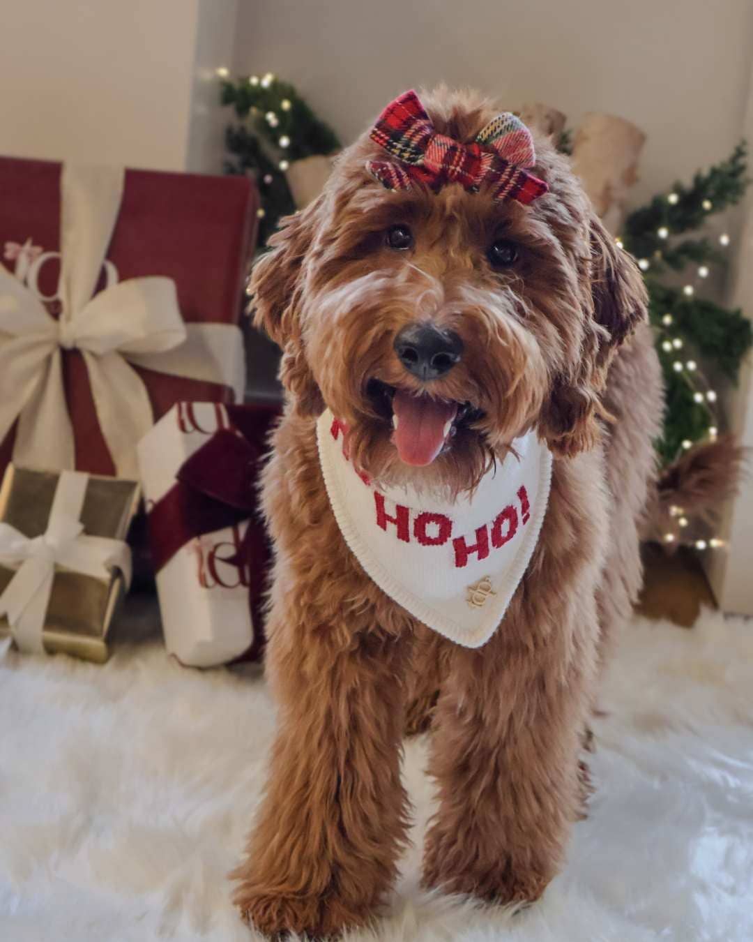 Christmas Dog Bandana - Ho Ho Ho