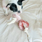 Valentine Bloc Dog Toy