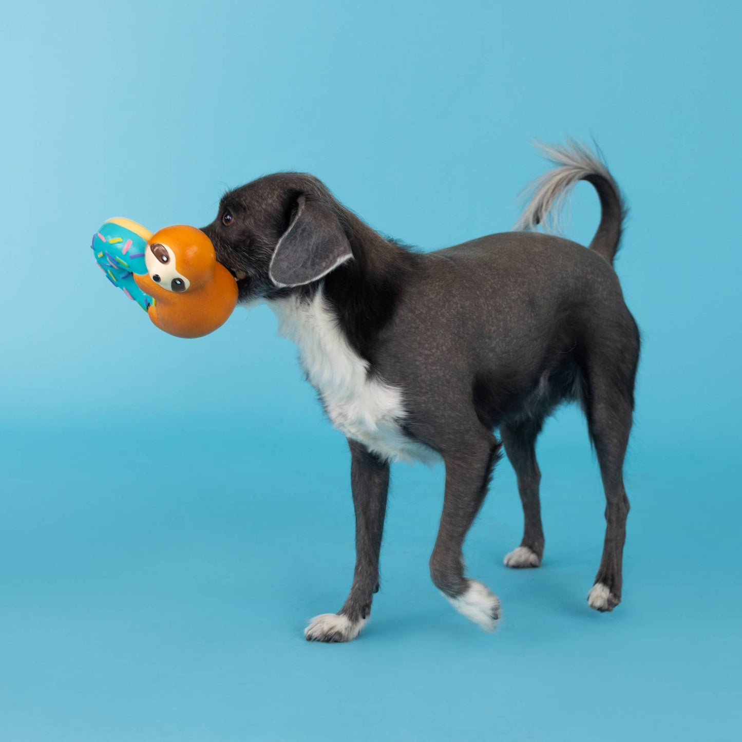 Donut Worry About a Thing Latex Dog Toy
