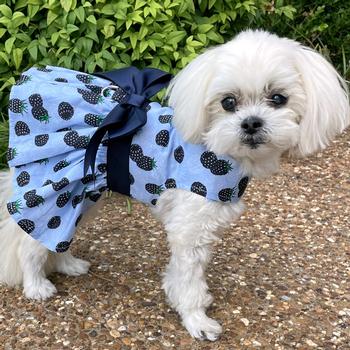 Dog Dress with Matching Leash - Blackberries