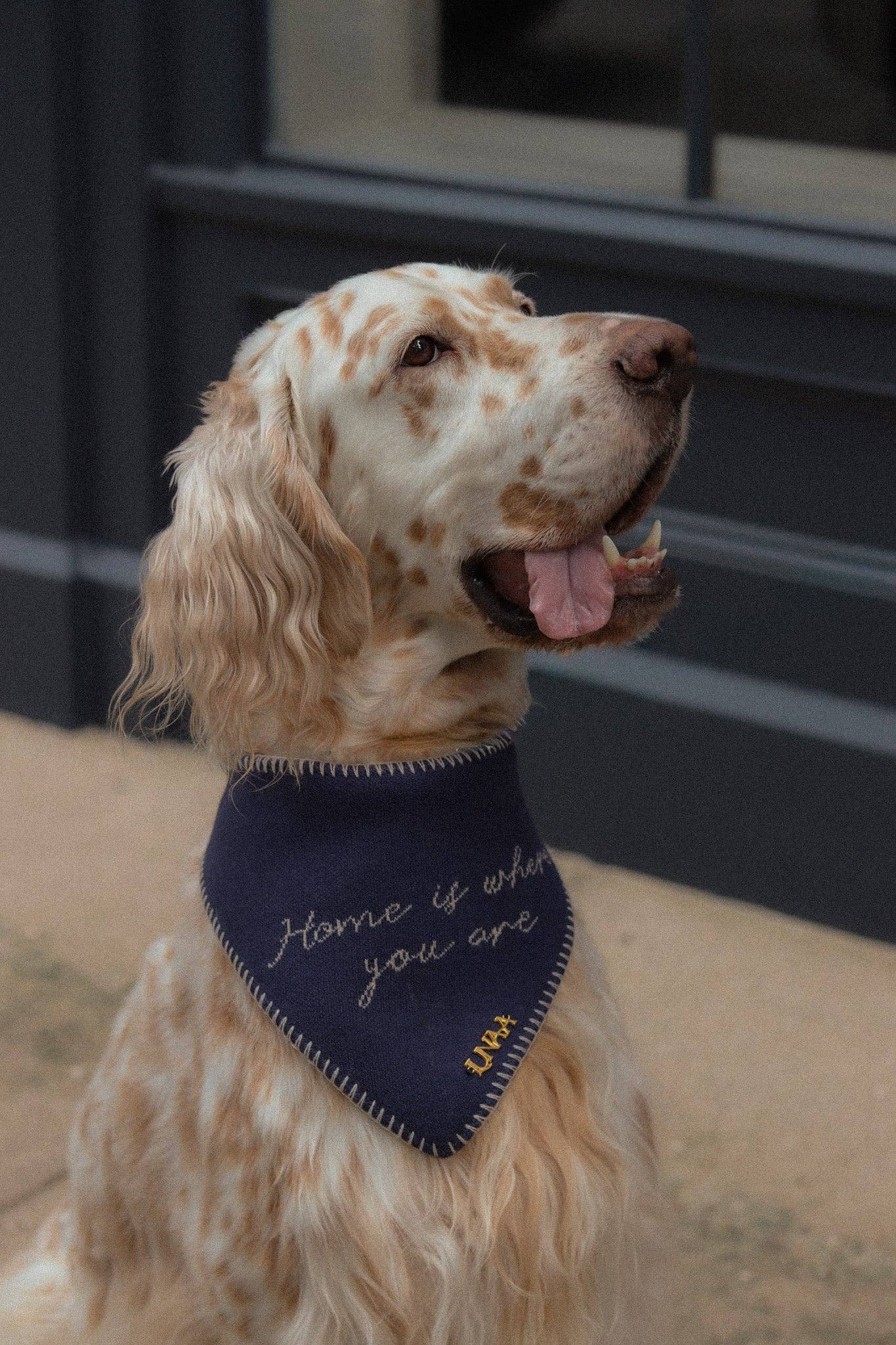 Home Is Where You Are Knit Bandana