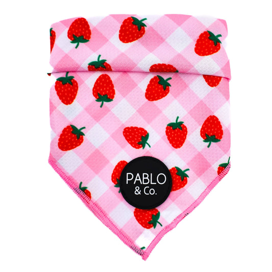 Strawberry Fields - Dog Bandana