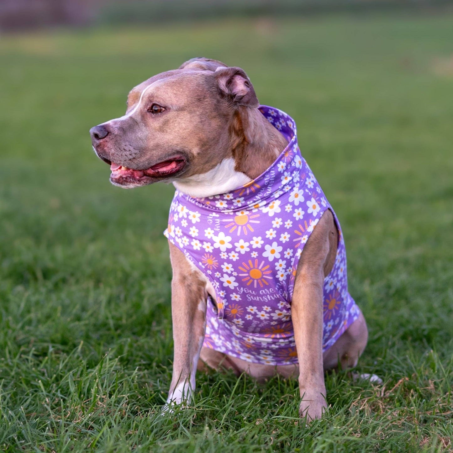 You are my Sunshine Muscle Tee-Purple