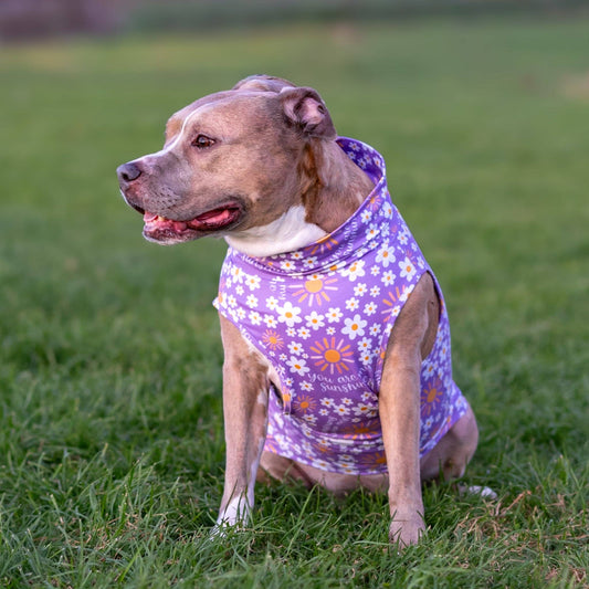 You are my Sunshine Muscle Tee-Purple